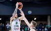 Brazdeikis