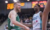Brazdeikis