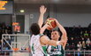 Pocius