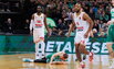 Brazdeikis