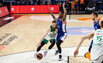 Brazdeikis
