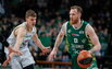 Brazdeikis