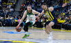 Brazdeikis