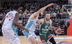 Brazdeikis