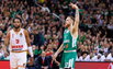 Brazdeikis