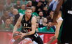 Brazdeikis