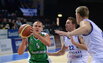 Kurtinaitis