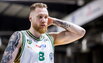 Brazdeikis