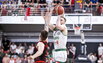 Brazdeikis