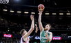 Brazdeikis