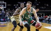 Brazdeikis