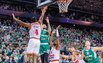 Brazdeikis