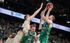 Brazdeikis
