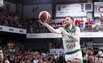 Brazdeikis