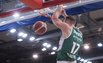 Brazdeikis