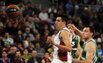 Bjelica