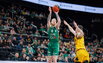 Brazdeikis