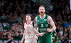 Brazdeikis