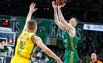 Brazdeikis