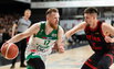 Brazdeikis