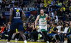 Brazdeikis