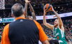 Brazdeikis