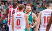 Brazdeikis