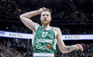 Brazdeikis