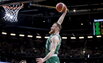 Brazdeikis