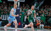 Brazdeikis