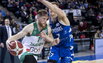 Brazdeikis