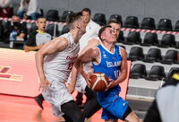 Danai nesugaudė E.Fridrikssono (FIBA nuotr.)