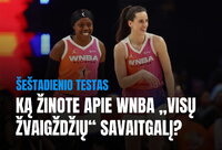 (Krepsinis.net nuotr.)