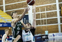 T.Aliukonis vėl pasiekė dviženklį rezultatyvumą (FIBA nuotr.)