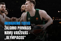 (Krepsinis.net nuotr.)