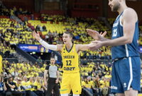 L.Hakansonas žaidė nesustabdomai (FIBA nuotr.)