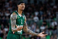 D.Robinsonas gali keltis į Eurolygą
