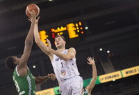 D.Tarolis buvo solidus (FIBA Europe nuotr.)