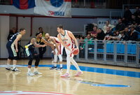 D.Tarolis surinko 25 naudingumo balus