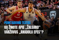 (Krepsinis.net nuotr.)