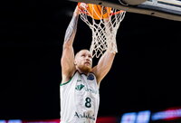 I.Brazdeikis dominavo (ELTA nuotr.)