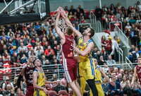 M.Mejeris pergalės neatnešė (FIBA Europe nuotr.)