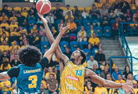 C.Brownas žais LKL