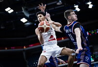 Z.Risacheras prisidėjo prie serbų triuškinimo (FIBA nuotr.)