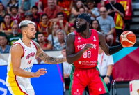 (FIBA nuotr.)