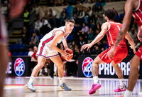S.Milijenovičius tempė serbus į sunkią pergalę (FIBA nuotr.)