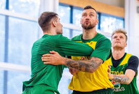 Didžioji dalis pagrindinės Lietuvos rinktinės žaidėjų turėtų praleisti mačą Alytuje