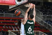 G.Papagiannis sužaidė karjeros mačą (Scanpix nuotr.)