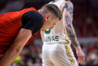 Gudaitis (Foto: Rokas Lukoševičius)