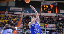 Janavičius